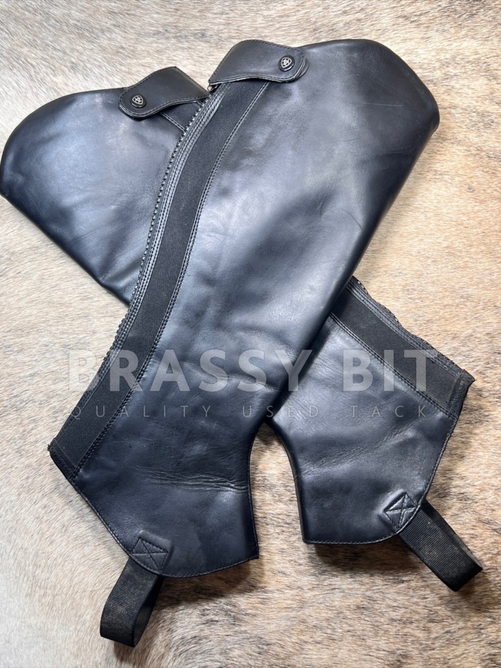 Ariat Leather Half Chaps